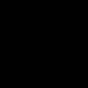 Meet your Posher, Damion